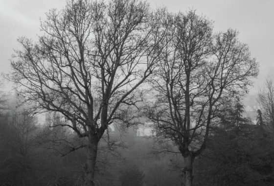Cover Photo: Lucas Harrison Rupnik